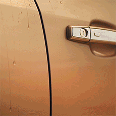 Trax GIF 1